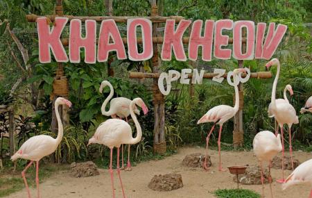 Khao Kheow Zoo Pattaya